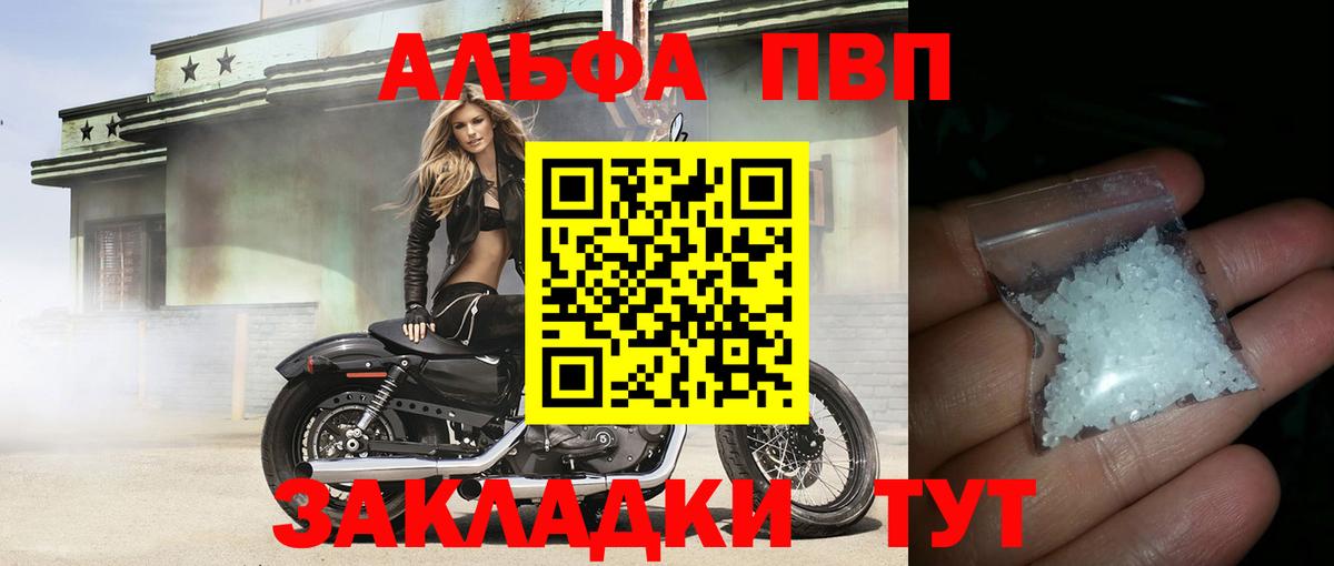 Alfa_PVP СК КРИС Асино