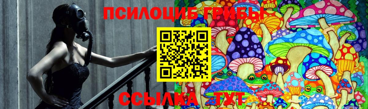 Псилоцибиновые грибы GOLDEN TEACHER  Вход с VPN  Асино 