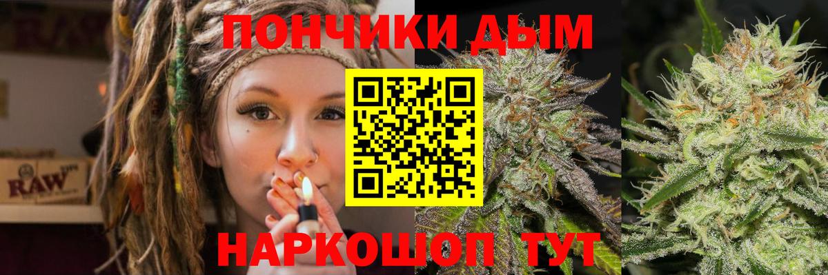 Канабис сатива Асино